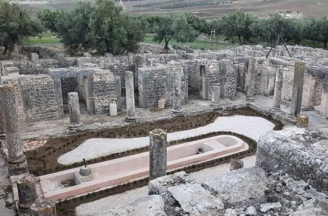 Bulla Regia e Dougga da Hammamet: Case romane sotterranee
