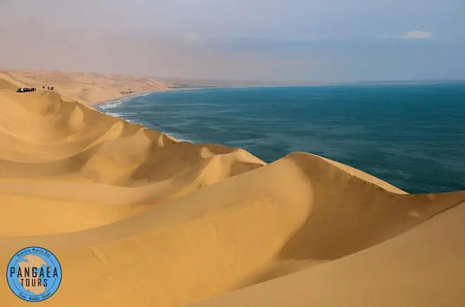 Sandwich Harbour e Pelican Point: Colonia di foche e dune