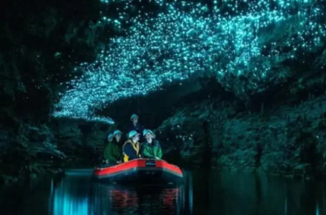 Waitomo Spellbound Glowworm Caves tour from Auckland: Small group