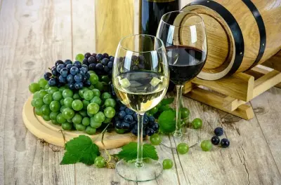 Excursion privée d'une journée dans les vignobles de Ronda depuis Malaga : 28 domaines