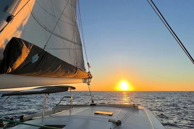 Scopri la magia di turks & caicos con un tour privato in catamarano al tramonto verso pine cay e grace bay beach, con drink, snack e un equipaggio locale accogliente.