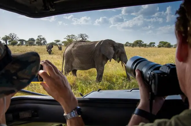 6-day Arusha Safari: Tarangire, Serengeti & Ngorongoro 4WD