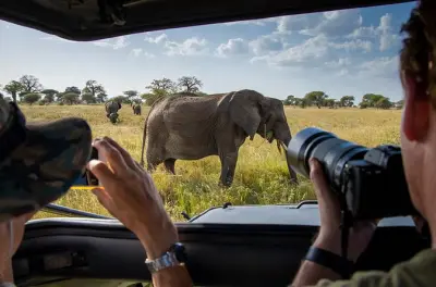 6-tägige Safari ab Arusha: Tarangire, Serengeti & Ngorongoro 4WD