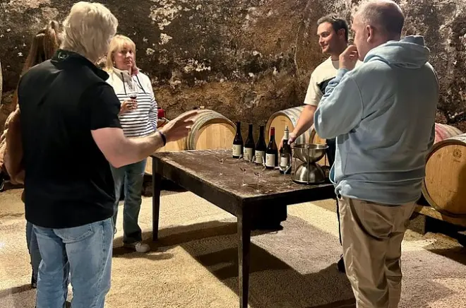 Degustações privadas em duas vinícolas no Beaujolais, saindo de Lyon