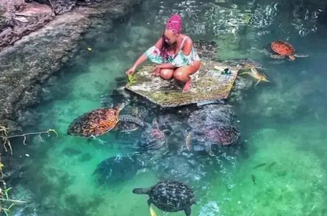 Kizimkazi Schildkröten: Schwimmen und Füttern in Salaam-Höhle