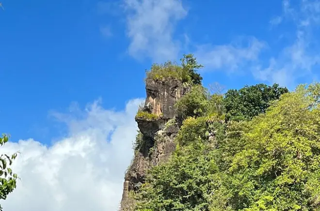Gorilla Rock a St. Vincent: Sentiero guidato tra fauna selvatica