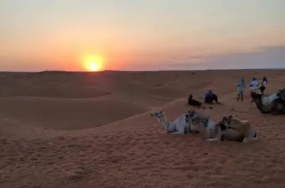 2-tägige Sahara- und Berber-Erfahrung ab Djerba