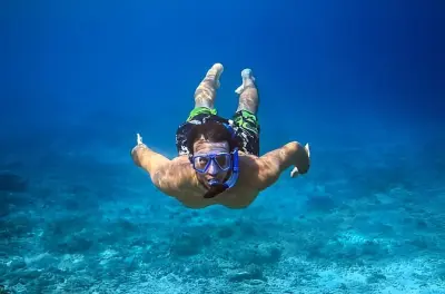 Snorkeling à Roatan : Plage privée de West Bay et faune sauvage