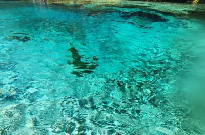 Kayaking Santa Fe River: Clear Glass Bottom Kayak