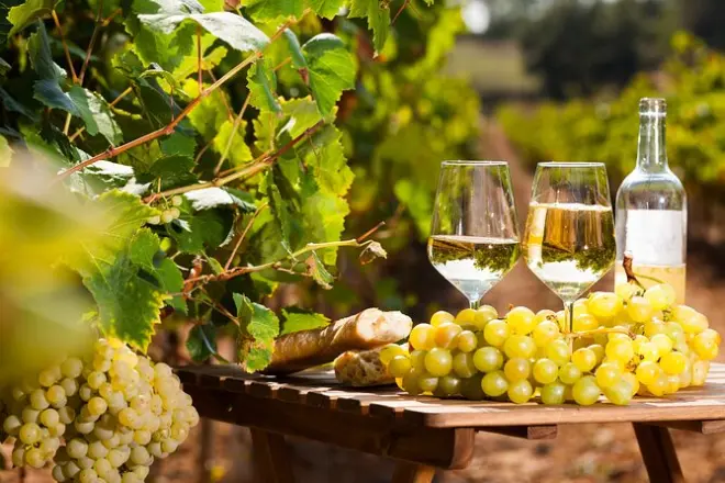 Mercato provenzale di Antibes e degustazione vini: St-Paul-de-Vence