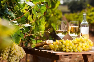 Mercato provenzale di Antibes e degustazione vini: St-Paul-de-Vence