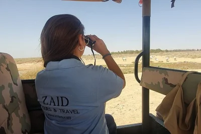 Visit jordan’s desert castles on a private day trip from amman. explore qasr amra, kharana, and azraq castle, with hotel pickup and optional wetland walk. book now.