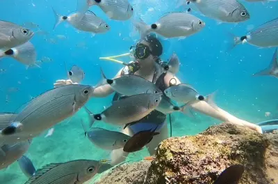 Scuba Diving in Kemer: 2 Dives with Lunch & Hotel Pickup
