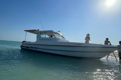 Abu dhabi inselhüpfen per speedboot: schwimmen auf dolphin island, beachgames in crystal bay und entspannte pausen mit snacks – inklusive abholung.