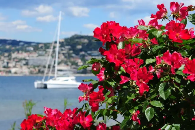 Grasse Antibes St Paul de Vence : Visite de la parfumerie Fragonard
