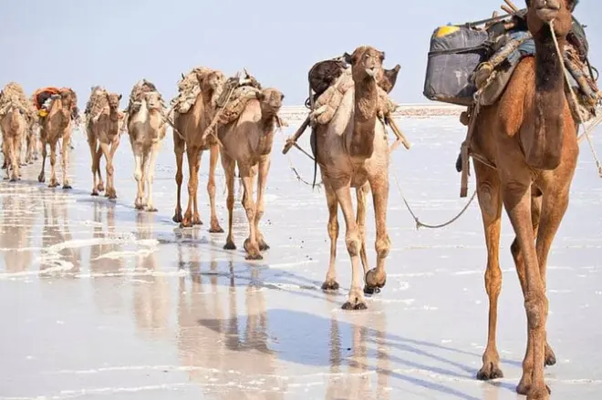 3-Day Danakil Depression Tour: Earth's Hottest Landscape