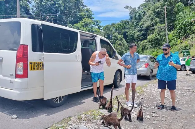 SJO to La Fortuna Private Shuttle: Comfort Transfer & Stops