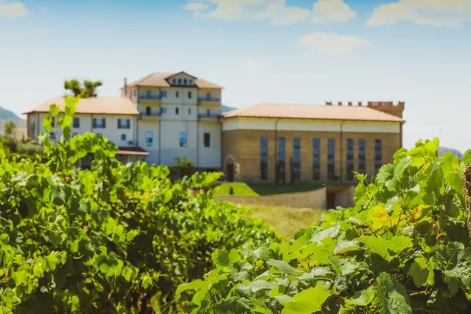 Bodega Tirana Lundra: Tour guiado con degustación de vinos