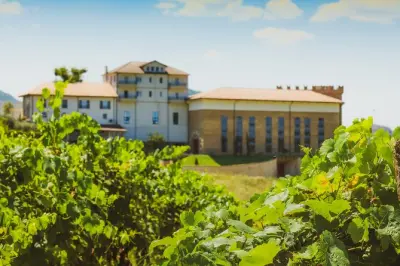 Tirana Lundra Winery: Guided Tour with Wine Tasting