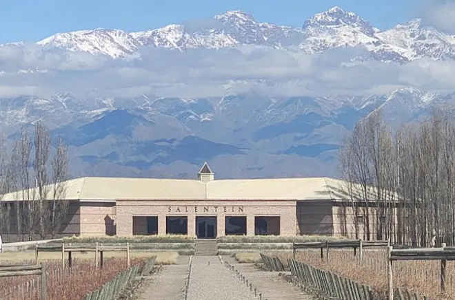 Weintour im Uco-Tal ab Mendoza: Sophenia & Salentein