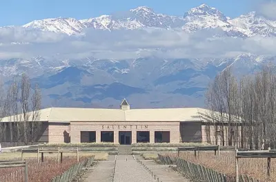 Vale do Uco: Visita às vinícolas Sophenia e Salentein desde Mendoza
