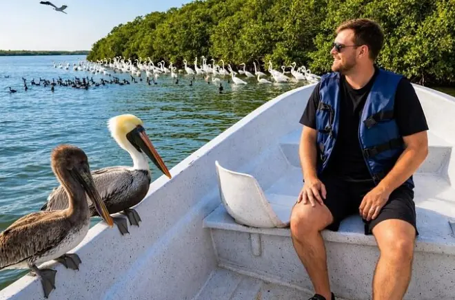 Rio Lagartos Tour: Flamingos, Cenote und rosa Lagunen