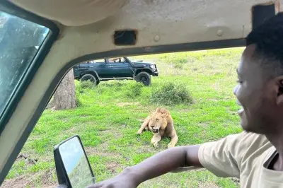 Safari di un giorno a Mikumi da Dar es Salaam: Treno e safari