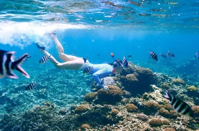 Phuket in motoscafo: Snorkeling sulle barriere coralline tranquille