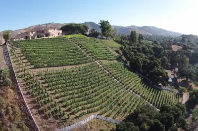 Paso Robles Gold Reserve Flight: Verkostung seltener Rebsorten