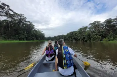 Faune et sentiers d'eau en canoë au parc national de Tortuguero