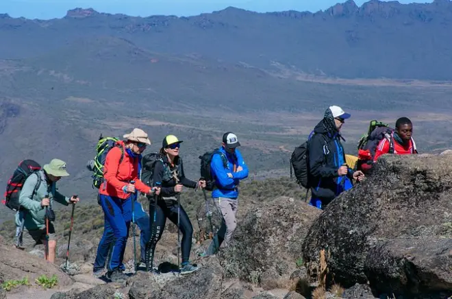 Salita al Kilimanjaro in 8 giorni via Lemosho: Tour di gruppo
