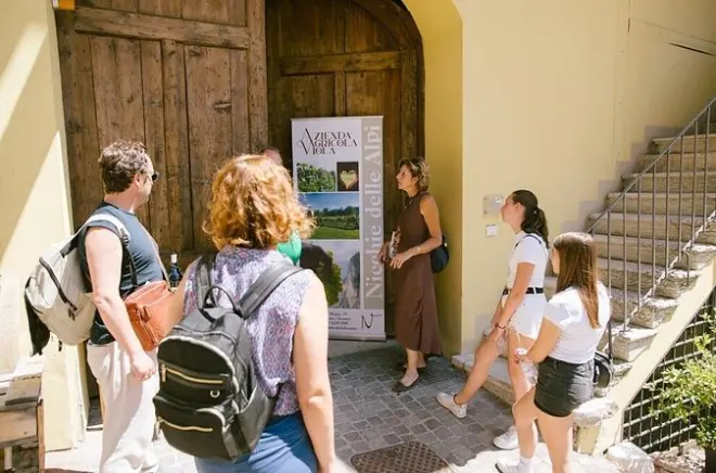 Wine Tasting in Mezzocorona: Dolomite Terroir & Local Cheeses
