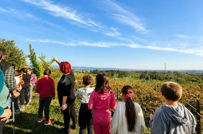 Visite et dégustation d’huile d’olive au lac de Garde : Huile primée