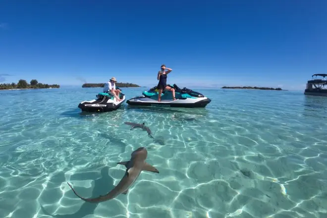 Balade en quad à Moorea : Champs d'ananas et vues sur la lagune
