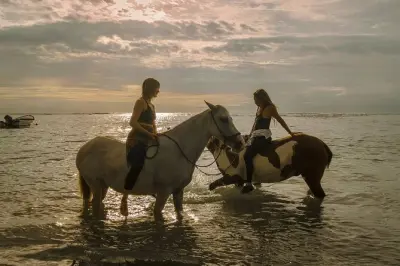 Équitation à Santa Teresa : À cru sur la plage de Cabuya