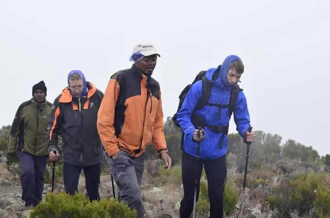 7-Day Mount Kilimanjaro Climb: Lemosho Route with Guides