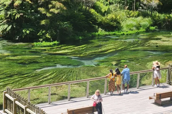 Tour privato WaiOtapu e cascate Huka da Auckland