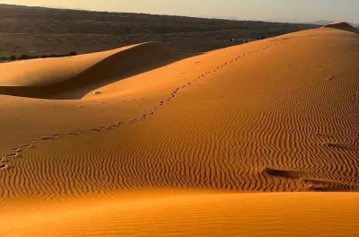 Wahiba Sands et wadi depuis Muscat : Safari privé en 4x4