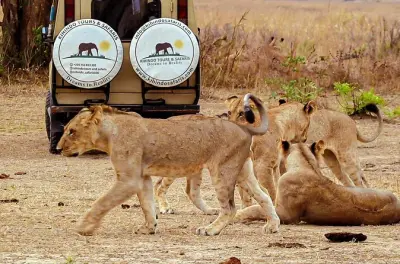 Safari Mikumi 4 jours : Safaris et train depuis Dar es Salaam