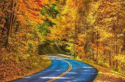 Colores del Blue Ridge Parkway en tour de otoño desde Brevard
