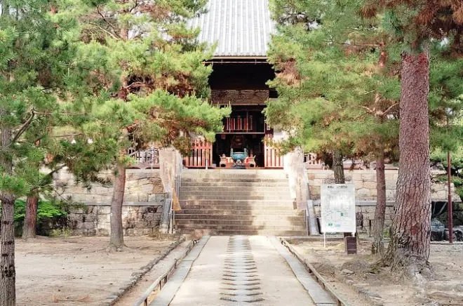 Manpuku-ji Temple tour in Uji: Hidden Zen architecture