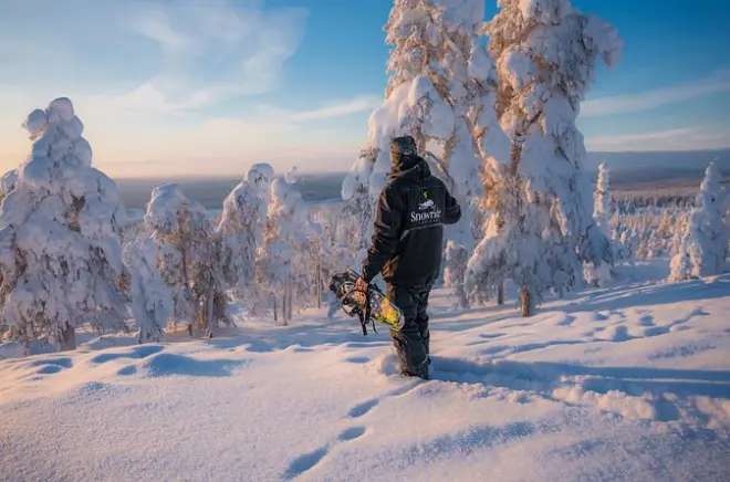 Rovaniemi: Passeio de snowmobile e caminhada com raquetes 2025