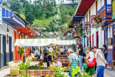 Vallée de Cocora et villages caféiers : Découverte des palmiers à cire