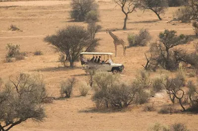 Victoria Falls game drive: Spot elephants, lions & buffalo