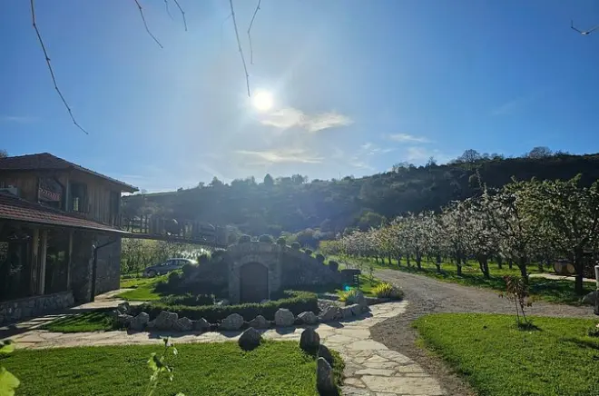 Rakija-Brennerei-Tour in Ohrid: Premium-Spirituosen Verkosten