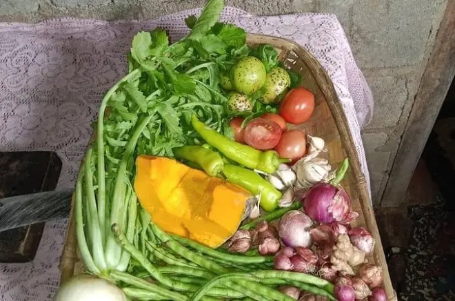 Corso di cucina tradizionale a Nuwara Eliya: Ricette dello Sri Lanka