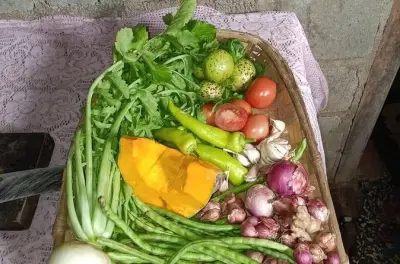 Sri Lanka Kochkurs in Nuwara Eliya: Traditionelle Rezepte