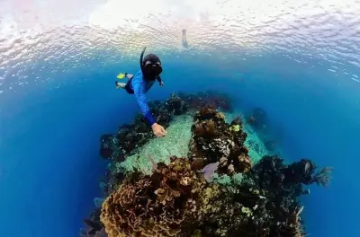 Snorkeling in Roatan: 3 Stops Southeast and Brady's Cay