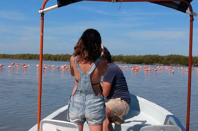 Rio Lagartos Bootstour: Mangroven, Flamingos & Maya-Schlammbad