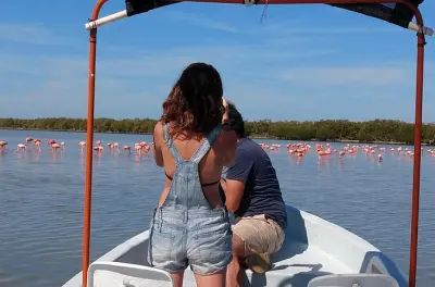 Rio Lagartos Bootstour: Mangroven, Flamingos & Maya-Schlammbad